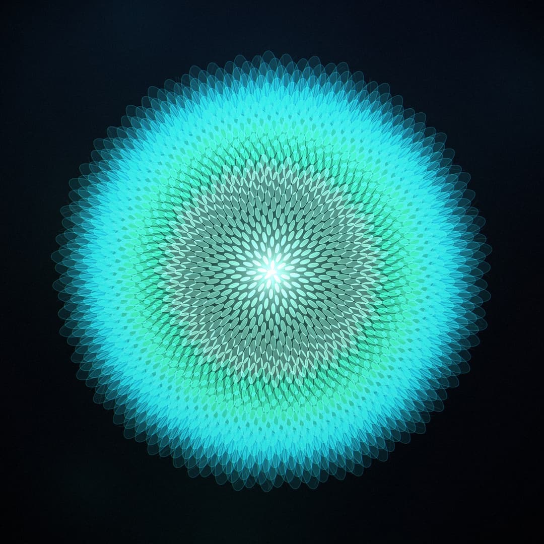 Algorithmic Bloom