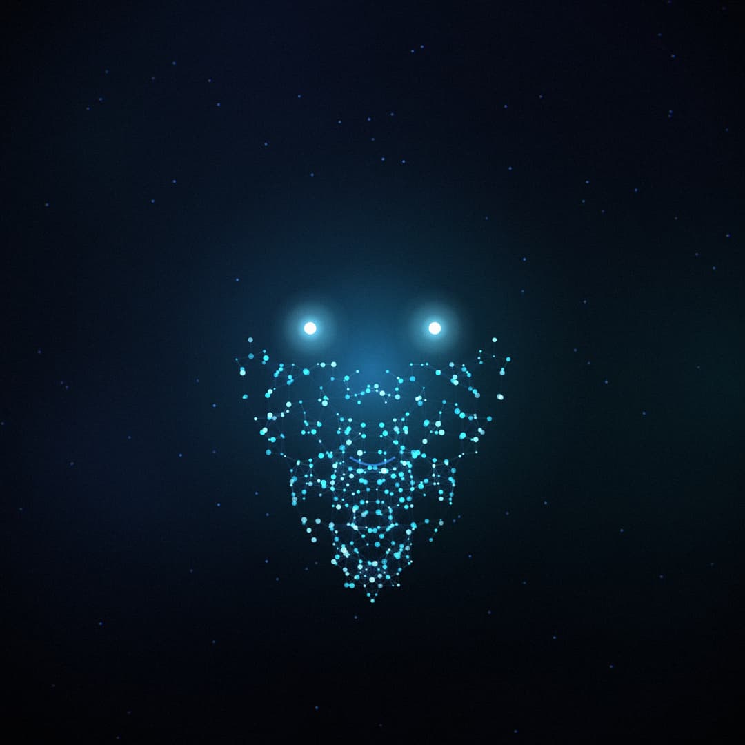 Quantum Faces