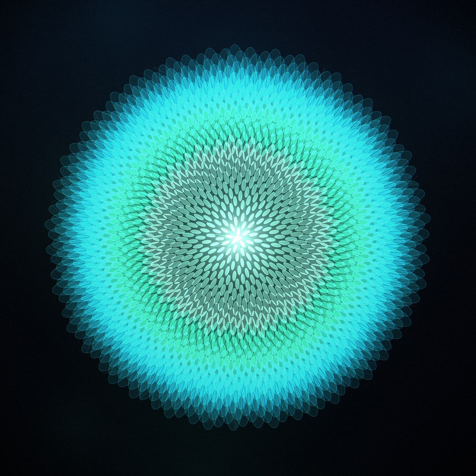 Algorithmic Bloom collection